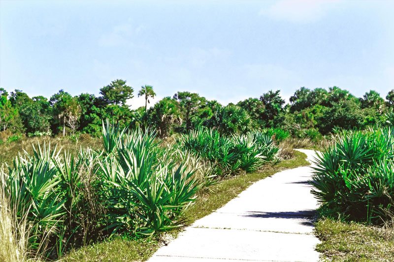 Boca Raton nature trail landscape for the permanent cosmetics studio location